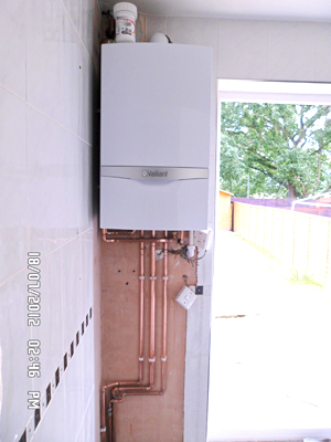 Vaillant ecoTec plus 813 and magnaclean Vaillant ecoTec plus 813 and magnaclean